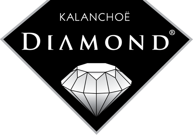 Diamond Kalanchoe logo