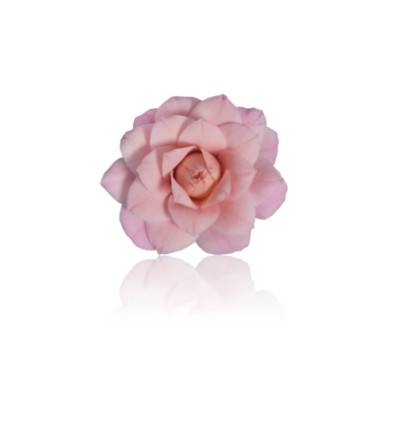 Diamond Zacht roze
